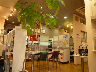 ショールーム